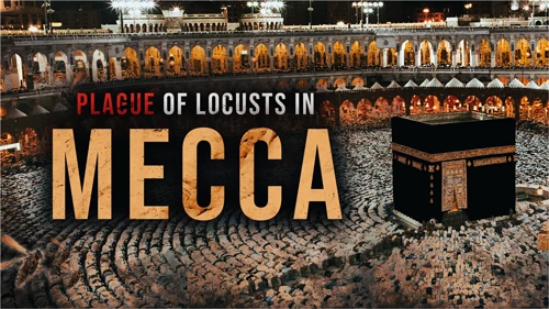 Shocking Locust Invasion In Mecca - Revival Nation - Blog