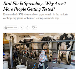 Bird-Flu-Pandemic - Image4