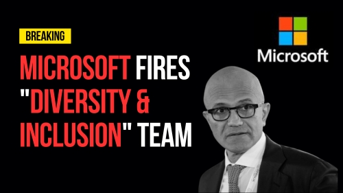 Microsoft Fires "Diversity & Inclusion" Team - Revival Nation - Blog