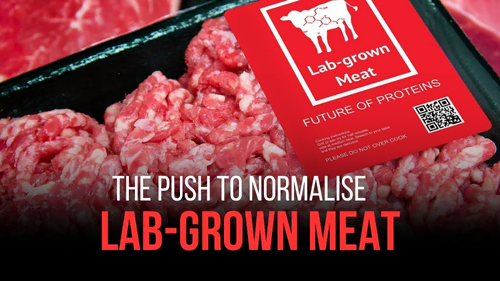 The Push to Normalise Lab-Grown Meat - Revival Nation - Blog
